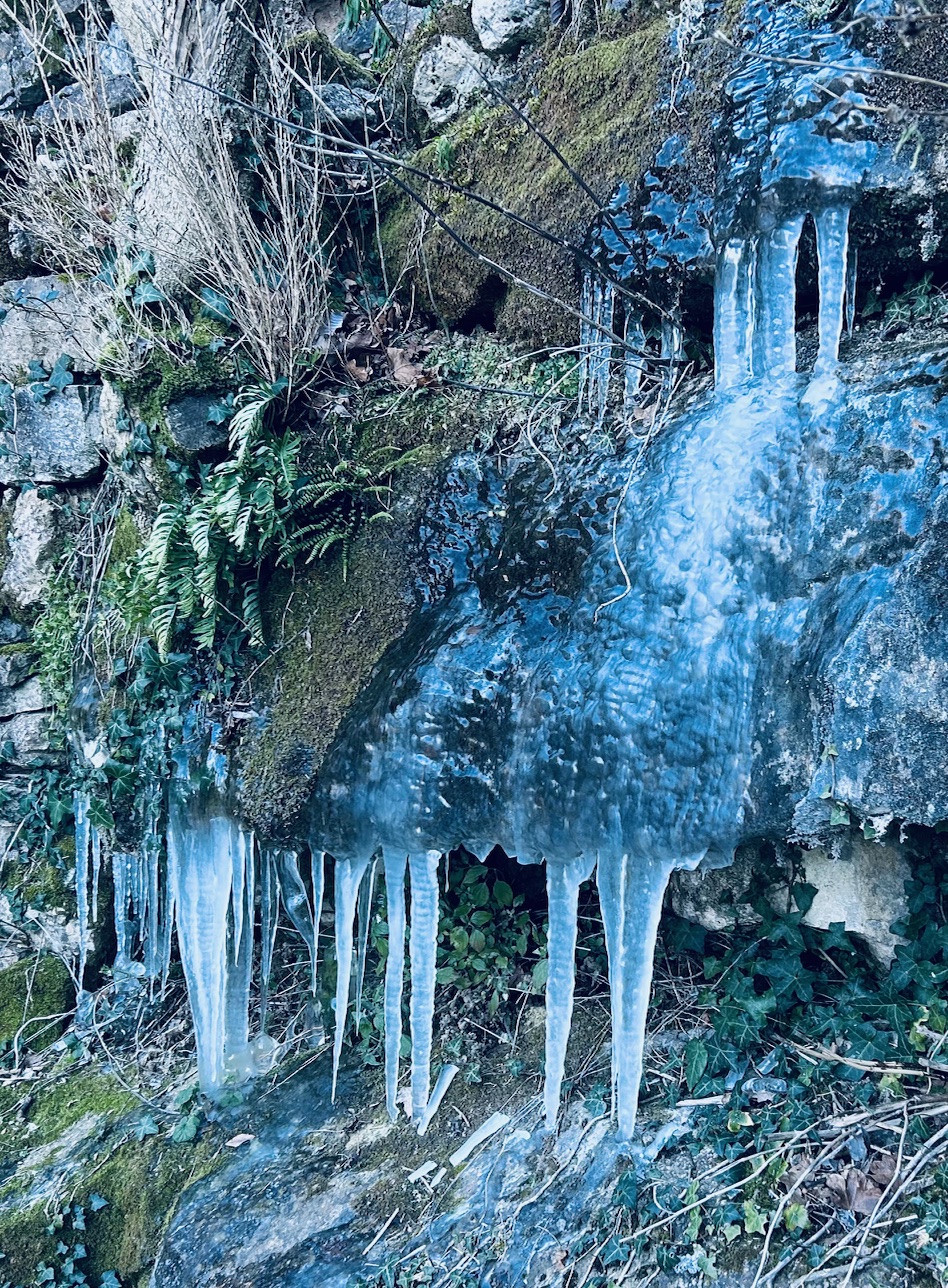 Zen.nl, Zen, meditatie, leren mediteren, foto